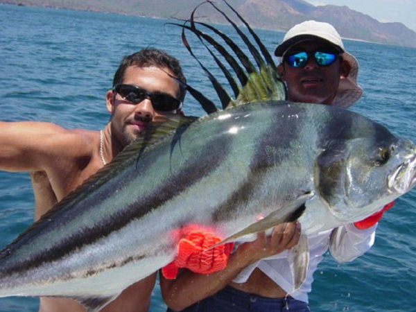 rooster fishing los suenos costa rica