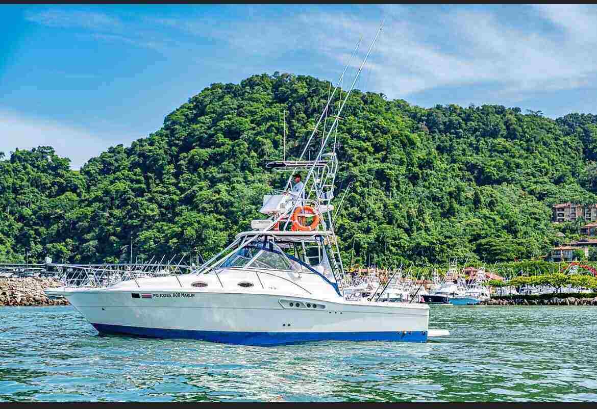 jaco costa rica fishing charters