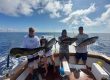 jaco costa rica fishing charters
